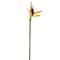 12 Pack: Yellow Bird of Paradise Stem by Ashland®